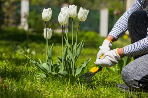 Tree surgeon website cookie policy introduction