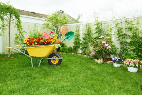 Professional pruning work on a garden tree